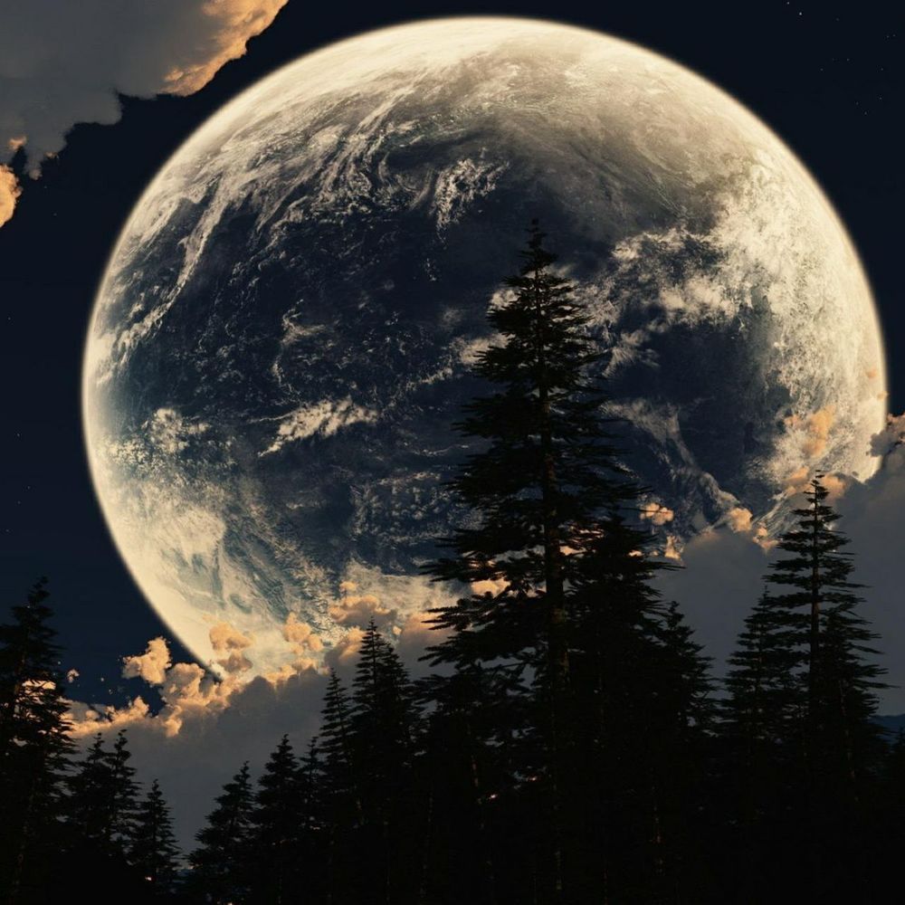 Meet your Posher, Jeanne